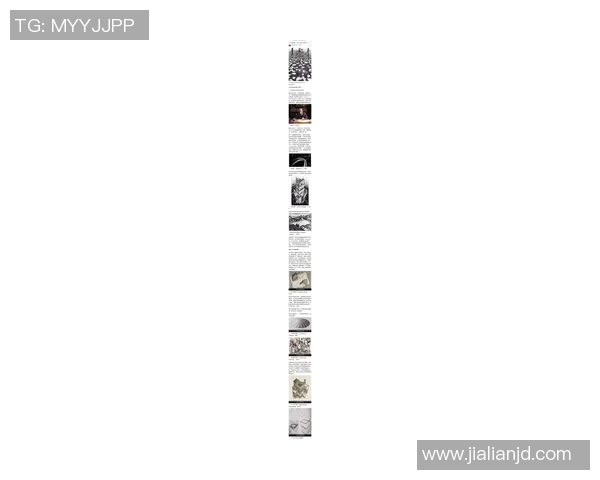 探索索博斯洛伊的历史与文化魅力揭示其在现代社会的影响与价值